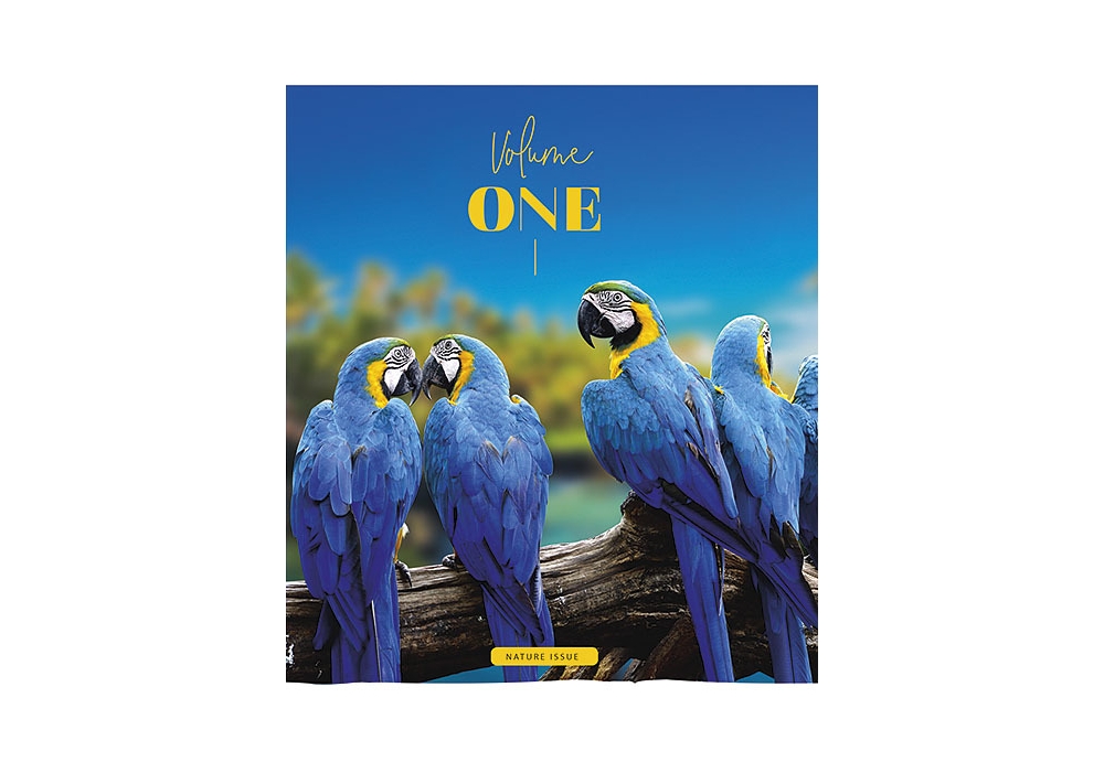 Зошит ШКОЛЯРИК (ШК-48-л-УФ) , 48 аркушів, лінія